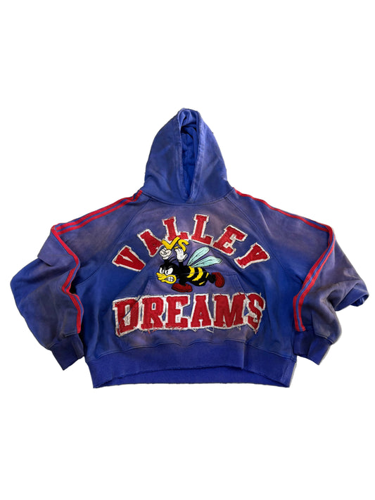 Vale Hoodie ‘Blue/Red’